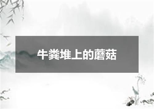 牛粪堆上的蘑菇