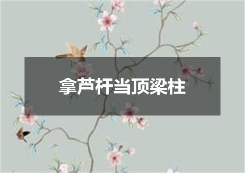 拿芦杆当顶梁柱