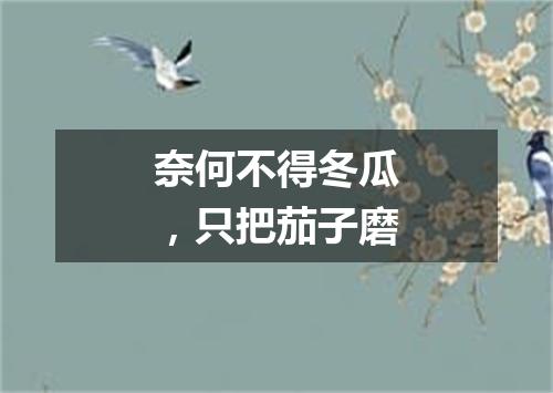 奈何不得冬瓜，只把茄子磨