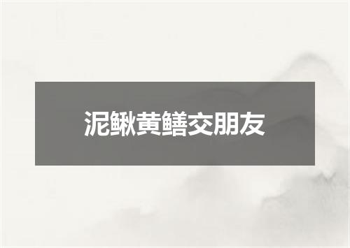 泥鳅黄鳝交朋友