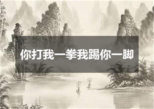 你打我一拳我踢你一脚