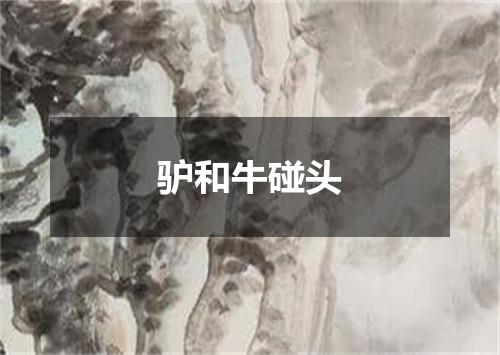 驴和牛碰头