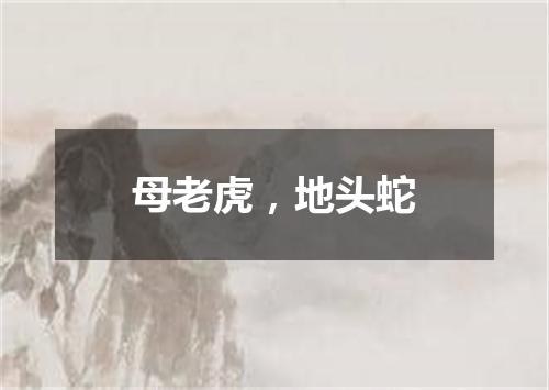 母老虎，地头蛇
