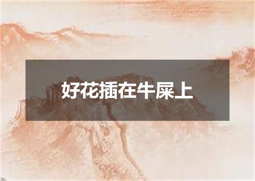 好花插在牛屎上
