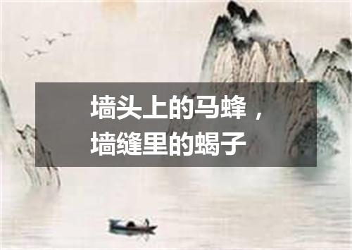 墙头上的马蜂，墙缝里的蝎子