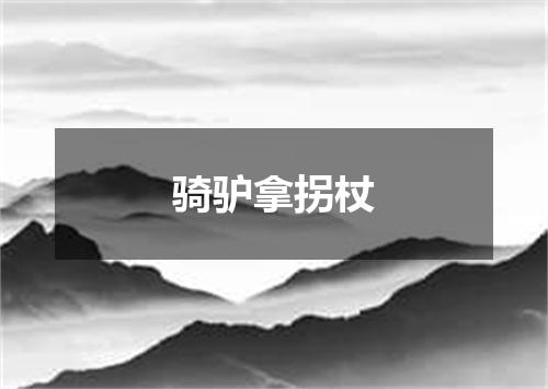 骑驴拿拐杖