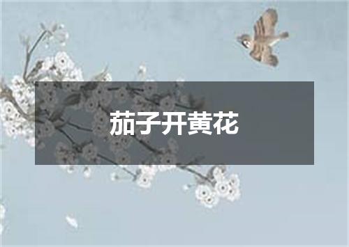 茄子开黄花