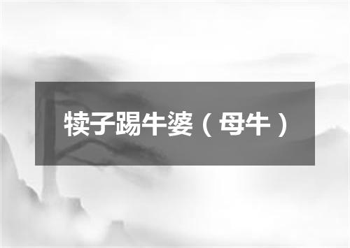 犊子踢牛婆（母牛）