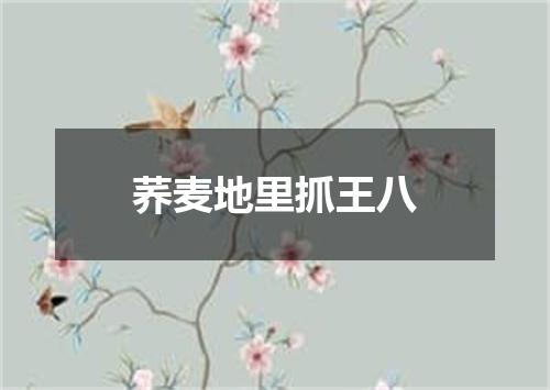荞麦地里抓王八