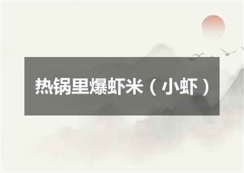 热锅里爆虾米（小虾）