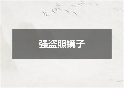 强盗照镜子