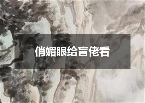 俏媚眼给盲佬看