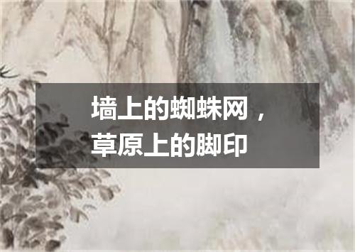 墙上的蜘蛛网，草原上的脚印
