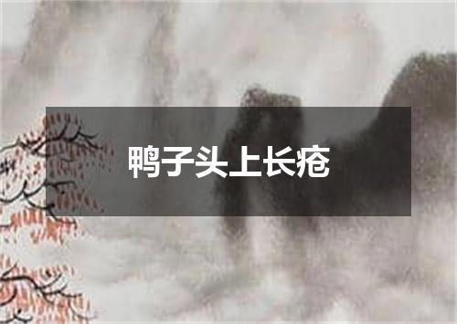 鸭子头上长疮