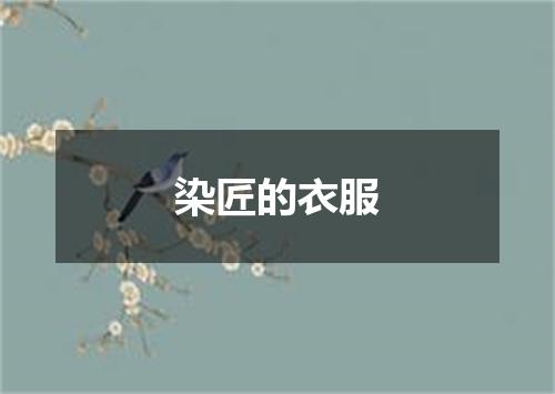 染匠的衣服