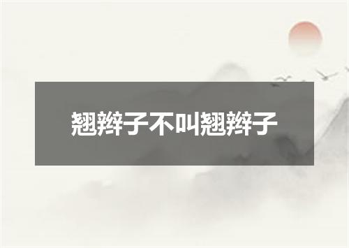翘辫子不叫翘辫子