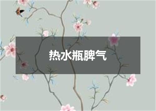 热水瓶脾气