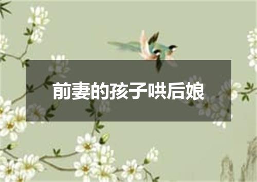 前妻的孩子哄后娘