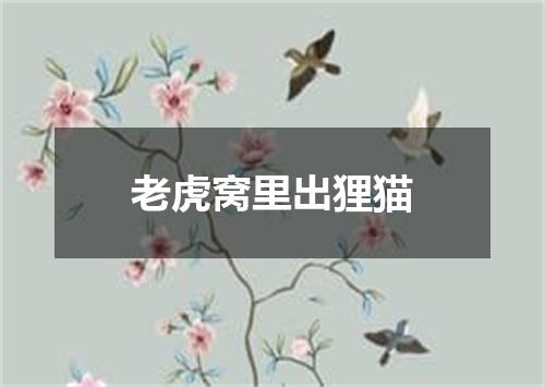老虎窝里出狸猫