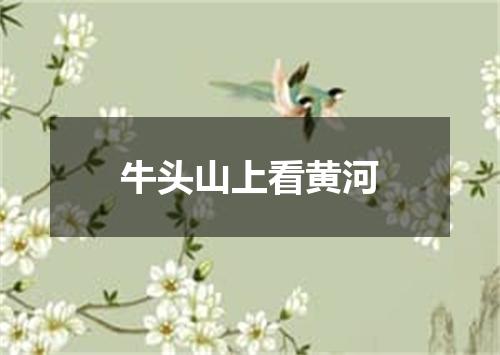 牛头山上看黄河
