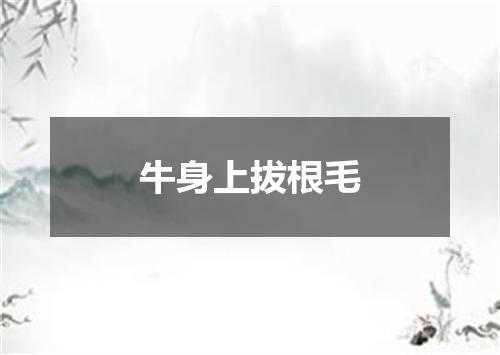 牛身上拔根毛