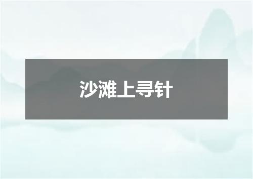 沙滩上寻针