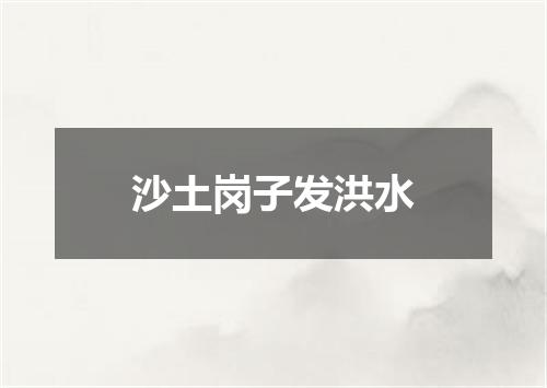 沙土岗子发洪水