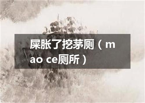 屎胀了挖茅厕（mao ce厕所）
