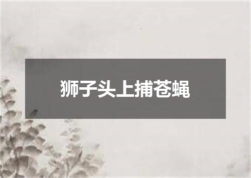 狮子头上捕苍蝇