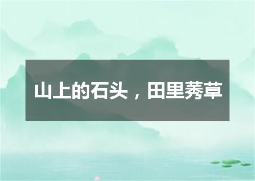 山上的石头，田里莠草