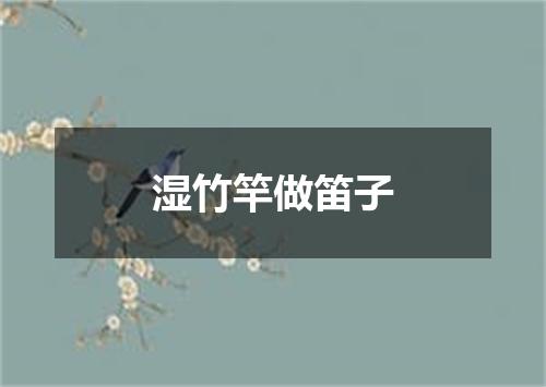 湿竹竿做笛子