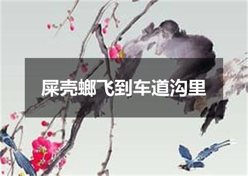 屎壳螂飞到车道沟里