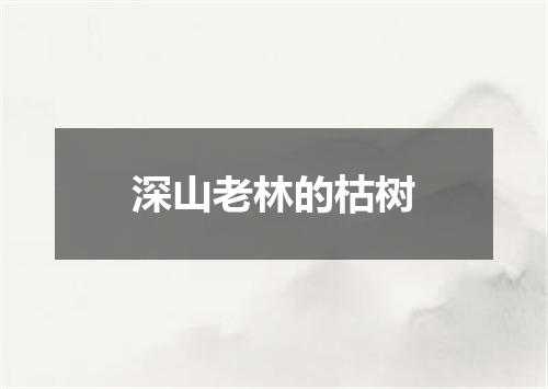深山老林的枯树