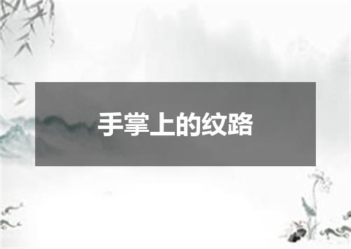 手掌上的纹路