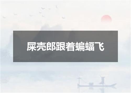 屎壳郎跟着蝙蝠飞