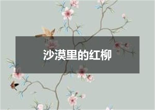 沙漠里的红柳