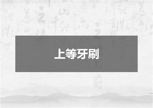 上等牙刷