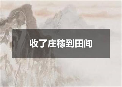 收了庄稼到田间
