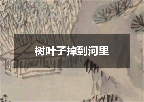 树叶子掉到河里