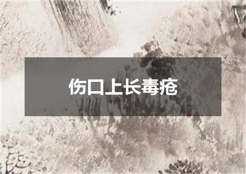 伤口上长毒疮