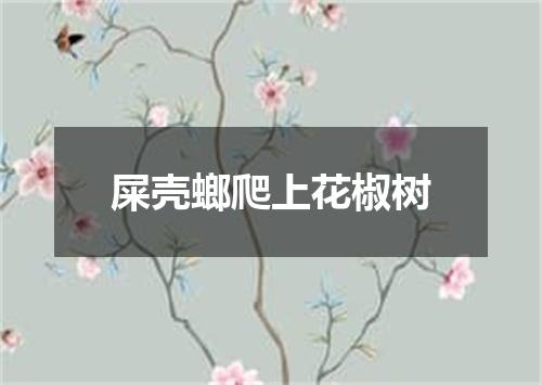 屎壳螂爬上花椒树