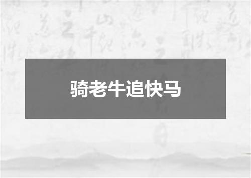 骑老牛追快马