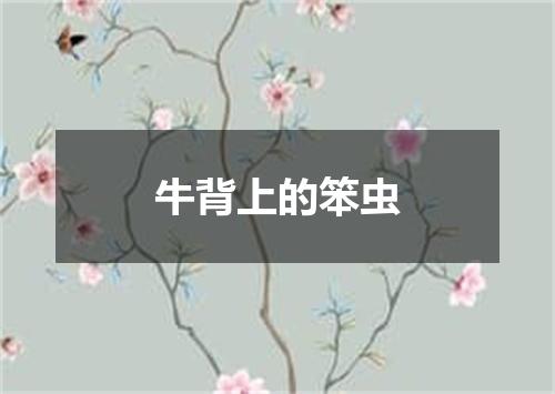 牛背上的笨虫