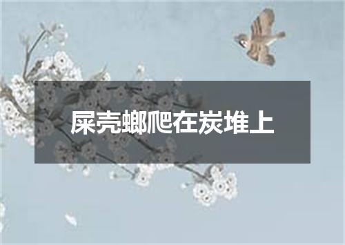 屎壳螂爬在炭堆上