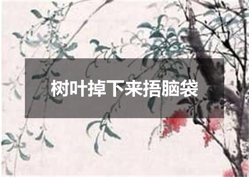 树叶掉下来捂脑袋