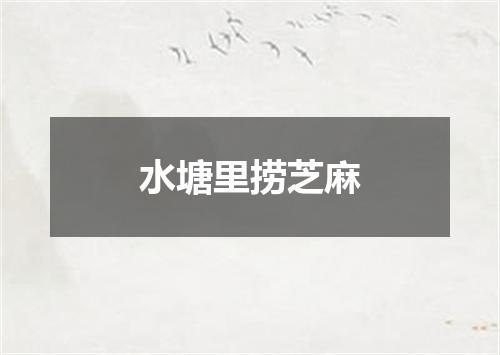 水塘里捞芝麻
