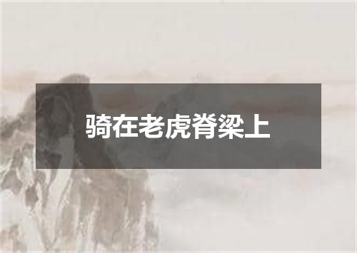骑在老虎脊梁上