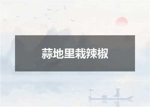 蒜地里栽辣椒