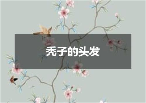 秃子的头发