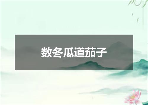 数冬瓜道茄子
